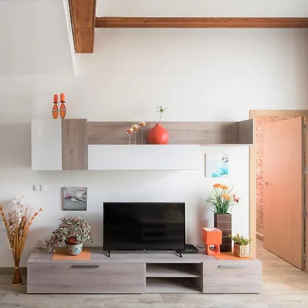 Apartament Flats Piera Center *